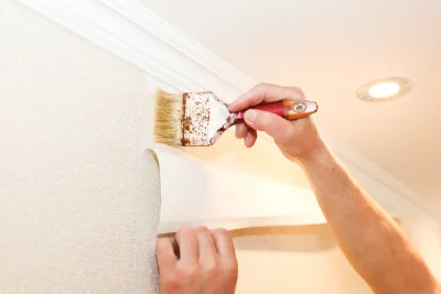 Pose de papier peint à Doussard — revêtements muraux et toiles de verre